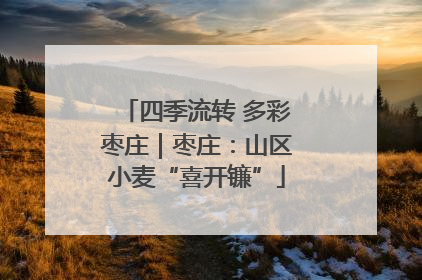 四季流转 多彩枣庄｜枣庄：山区小麦“喜开镰”
