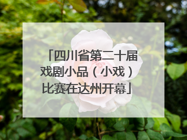 四川省第二十届戏剧小品（小戏）比赛在达州开幕