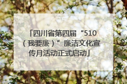 四川省第四届“510（我要廉）”廉洁文化宣传月活动正式启动
