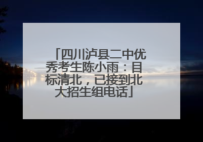 四川泸县二中优秀考生陈小雨：目标清北，已接到北大招生组电话