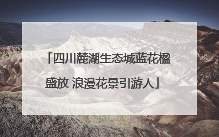 四川麓湖生态城蓝花楹盛放 浪漫花景引游人