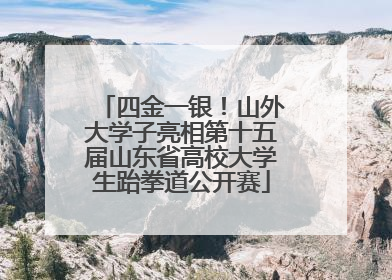 四金一银！山外大学子亮相第十五届山东省高校大学生跆拳道公开赛