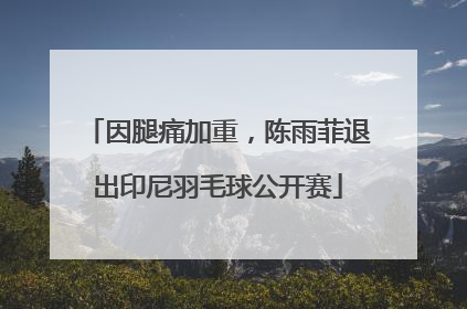 因腿痛加重，陈雨菲退出印尼羽毛球公开赛