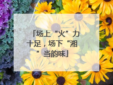 场上“火”力十足，场下“湘”当韵味