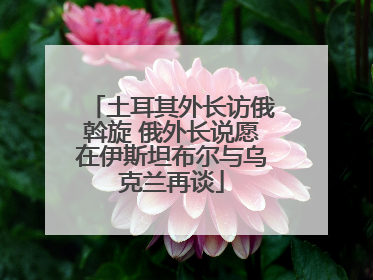 土耳其外长访俄斡旋 俄外长说愿在伊斯坦布尔与乌克兰再谈