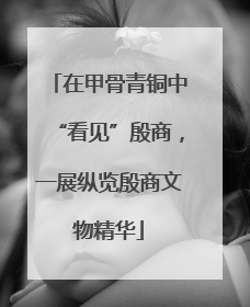 在甲骨青铜中“看见”殷商，一展纵览殷商文物精华