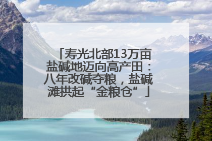 寿光北部13万亩盐碱地迈向高产田：八年改碱夺粮，盐碱滩拱起“金粮仓”