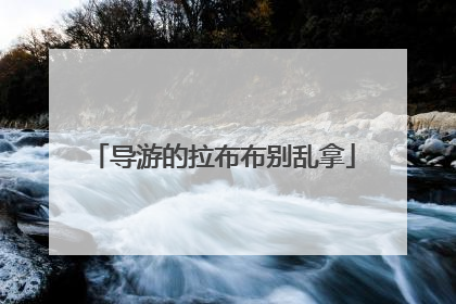 导游的拉布布别乱拿
