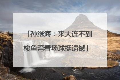 孙继海：来大连不到梭鱼湾看场球挺遗憾