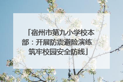 宿州市第九小学校本部：开展防震避险演练 筑牢校园安全防线