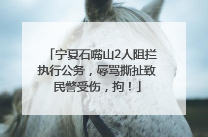 宁夏石嘴山2人阻拦执行公务，辱骂撕扯致民警受伤，拘！