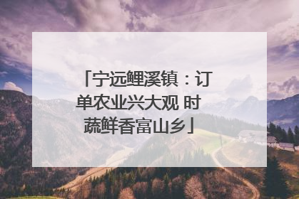 宁远鲤溪镇：订单农业兴大观 时蔬鲜香富山乡