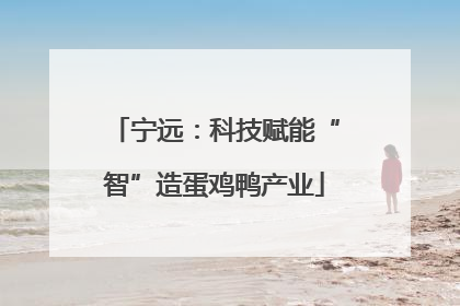 宁远：科技赋能“智”造蛋鸡鸭产业
