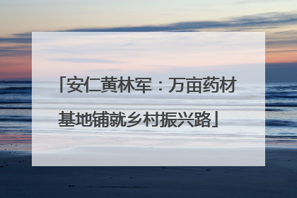安仁黄林军：万亩药材基地铺就乡村振兴路