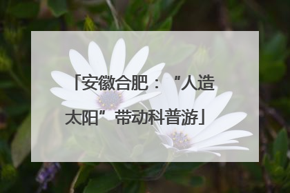 安徽合肥：“人造太阳”带动科普游