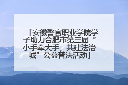 安徽警官职业学院学子助力合肥市第三届“小手牵大手、共建法治城”公益普法活动
