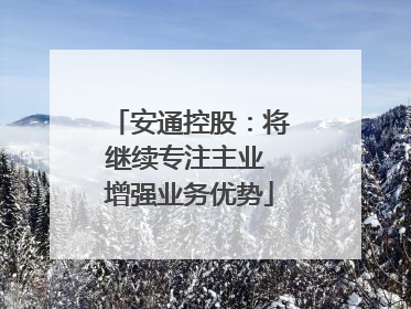 安通控股：将继续专注主业 增强业务优势
