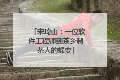 宋琦山：一位软件工程师到茶乡制茶人的蝶变