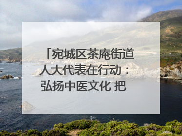 宛城区茶庵街道人大代表在行动：弘扬中医文化 把脉基层健康