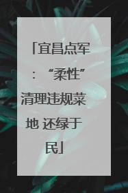 宜昌点军：“柔性”清理违规菜地 还绿于民