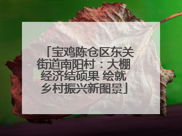 宝鸡陈仓区东关街道南阳村：大棚经济结硕果 绘就乡村振兴新图景