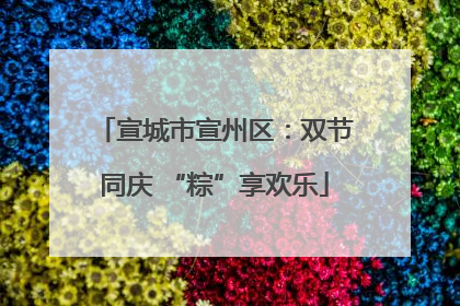 宣城市宣州区：双节同庆 “粽”享欢乐