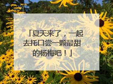 夏天来了，一起去托口尝一颗最甜的杨梅吧！