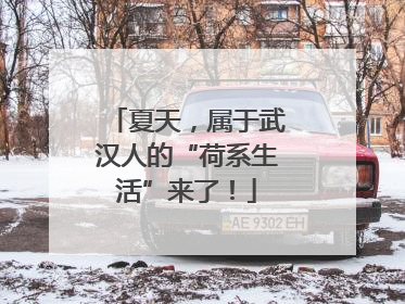 夏天，属于武汉人的“荷系生活”来了！