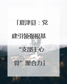 夏津县:党建引领强根基 “支部主心骨”聚合力