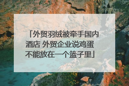 外贸羽绒被牵手国内酒店 外贸企业说鸡蛋不能放在一个篮子里