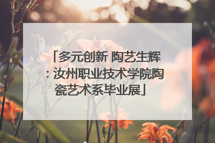 多元创新 陶艺生辉：汝州职业技术学院陶瓷艺术系毕业展