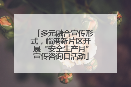 多元融合宣传形式，临港新片区开展“安全生产月”宣传咨询日活动