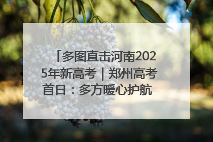 多图直击河南2025年新高考｜郑州高考首日：多方暖心护航 助力学子逐梦