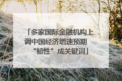 多家国际金融机构上调中国经济增速预期 “韧性”成关键词