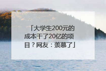 大学生200元的成本干了20亿的项目？网友：羡慕了