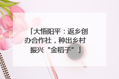 大悟阳平：返乡创办合作社，种出乡村振兴“金稻子”