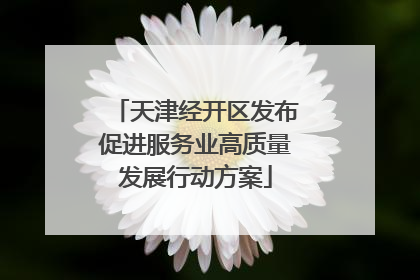 天津经开区发布促进服务业高质量发展行动方案