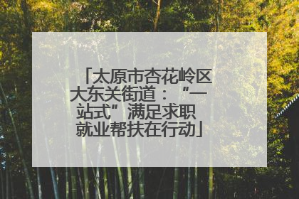 太原市杏花岭区大东关街道：“一站式”满足求职 就业帮扶在行动