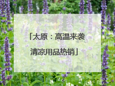太原：高温来袭 清凉用品热销