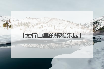 太行山里的猕猴乐园
