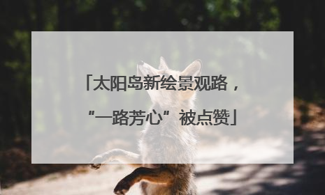 太阳岛新绘景观路，“一路芳心”被点赞
