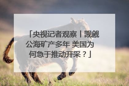 央视记者观察丨觊觎公海矿产多年 美国为何急于推动开采？