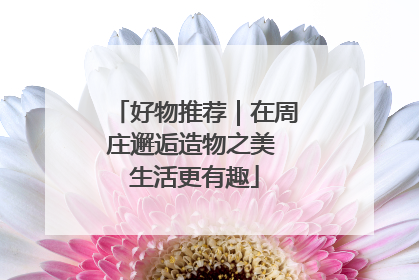 好物推荐｜在周庄邂逅造物之美 生活更有趣