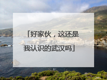 好家伙，这还是我认识的武汉吗