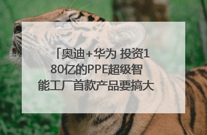 奥迪+华为 投资180亿的PPE超级智能工厂首款产品要搞大事情？｜粤港澳车展