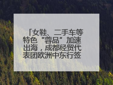 女鞋、二手车等特色“蓉品”加速出海，成都经贸代表团欧洲中东行签单逾3.7亿元