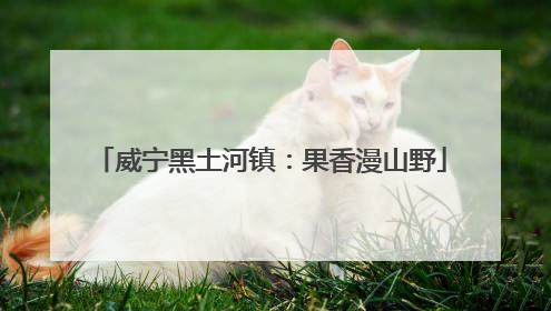 威宁黑土河镇：果香漫山野