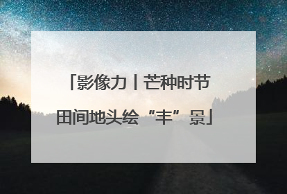 影像力丨芒种时节 田间地头绘“丰”景