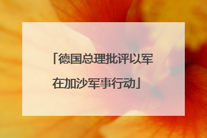 德国总理批评以军在加沙军事行动