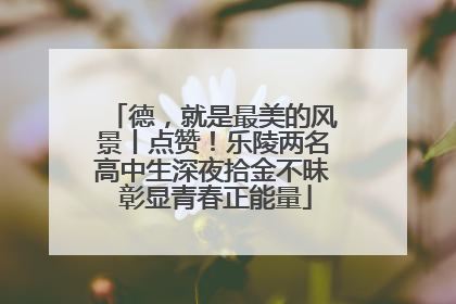 德，就是最美的风景丨点赞！乐陵两名高中生深夜拾金不昧 彰显青春正能量
